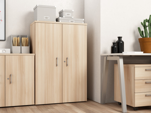 Armoire mi-haute portes battantes pas chère