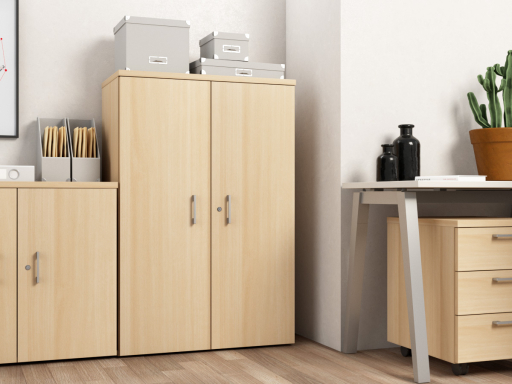 Armoire mi-haute portes battantes pas chère