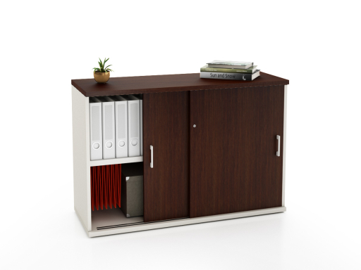 Armoire portes coulissantes LAGO L100 ou L120 x H81 bicolore, professionnelle