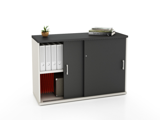 Armoire portes coulissantes LAGO L100 ou L120 x H81 bicolore, professionnelle