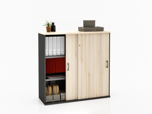 Armoire portes coulissantes LAGO L100 ou L120 x H120 bicolore, professionnelle