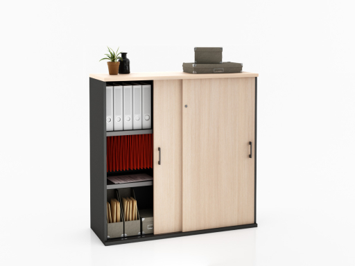 Armoire portes coulissantes LAGO L100 ou L120 x H120 bicolore, professionnelle