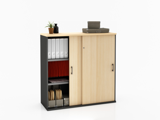 Armoire portes coulissantes LAGO L100 ou L120 x H120 bicolore, professionnelle