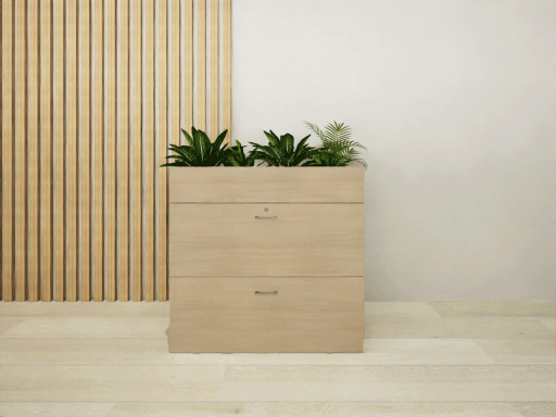 Armoire basse pour dossiers suspendus avec bac pas chère, fabrication européene