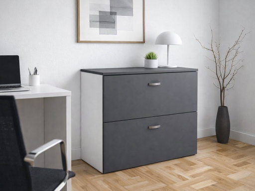 Armoire bicolore pour dossiers suspendus L100 pas cher