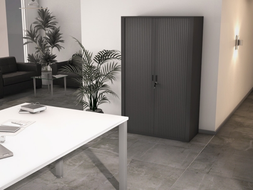 Armoire à rideaux métallique H160 L80/100/120