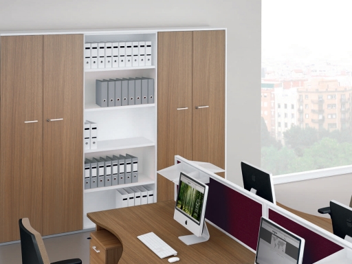 Armoire portes battantes avec bibliothèque L262xH216, pas chère