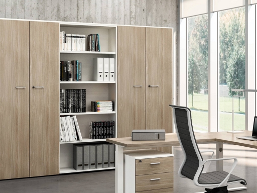 Armoire portes battantes avec bibliothèque L262xH216, pas chère