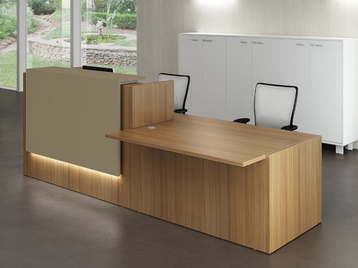 Bureau d'accueil mixte pratique