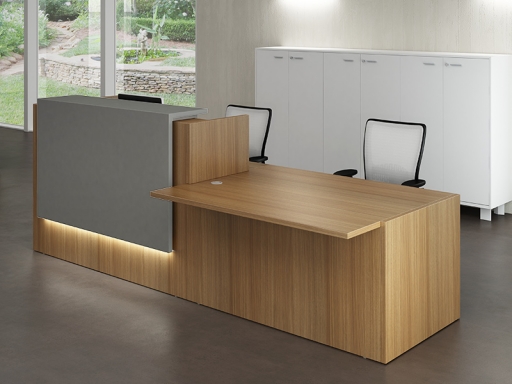 Bureau d'accueil mixte pratique
