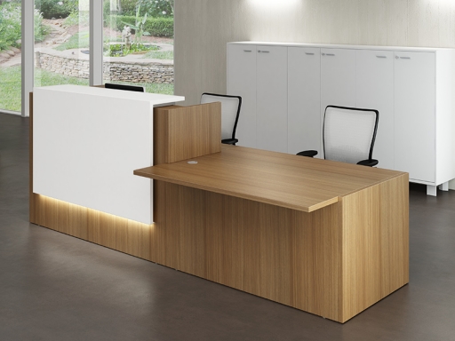 Bureau d'accueil mixte pratique