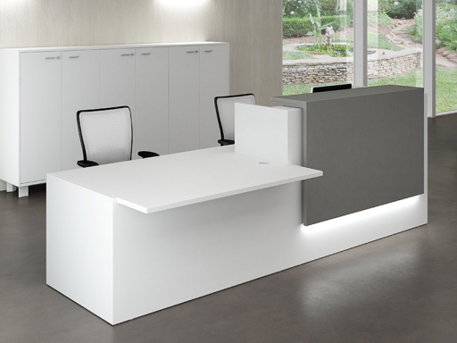 Bureau d'accueil mixte pratique