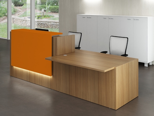 Bureau d'accueil mixte pratique