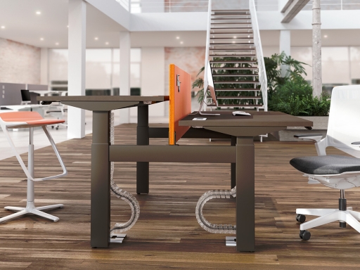 Bureau bench 2 personnes assis debout, électrique haut de gamme