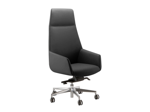 Fauteuil de direction design