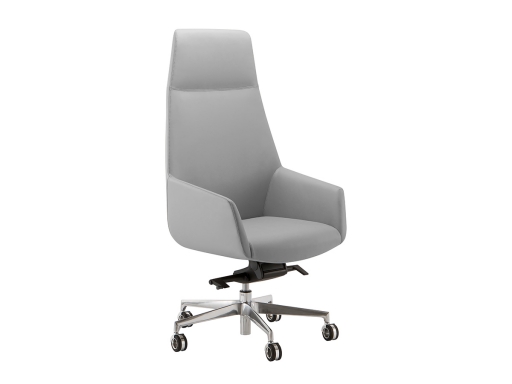 Fauteuil de direction design