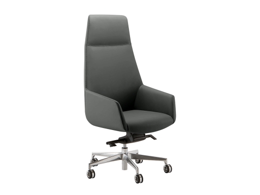 Fauteuil de direction design