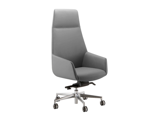 Fauteuil de direction design