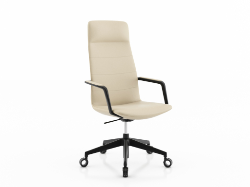Fauteuil de direction design, en cuir italien