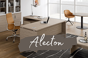 Bureau de direction ALECTON avec retour