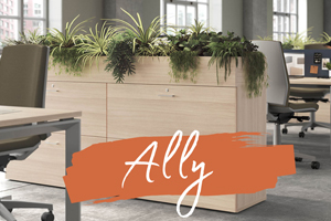 Armoire basse avec bac a fleurs ALLY