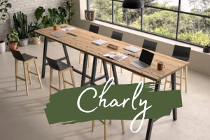 L'élégance intemporelle et le confort exceptionnel