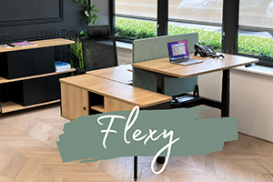 Bureau bench 2 personnes assis debout électrique FLEXY